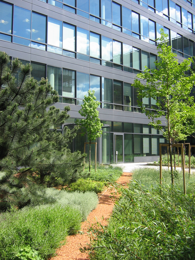 Baaum - RRA∏J.F. Authier_RÇalisation_0027LANDY_IMG_3222.jpg