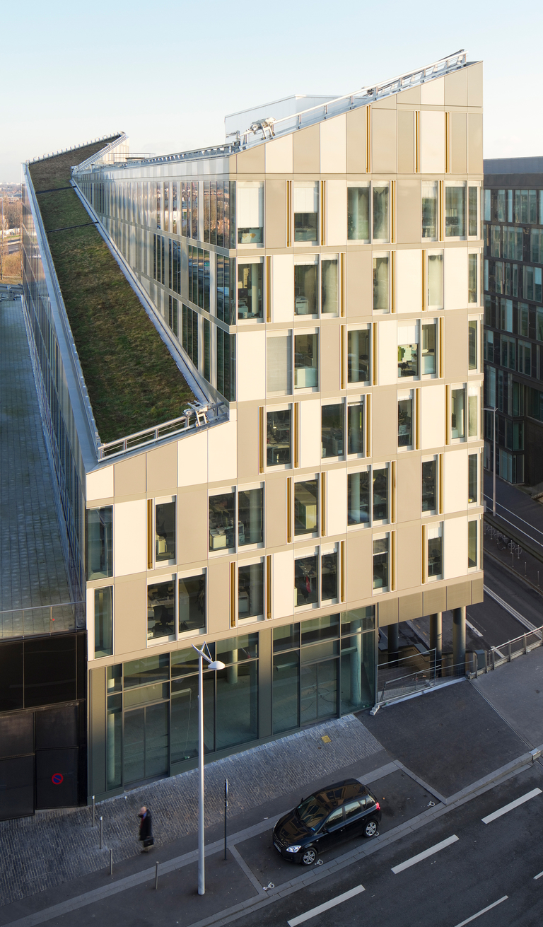 Baaum - 835LIL_121211143.jpg