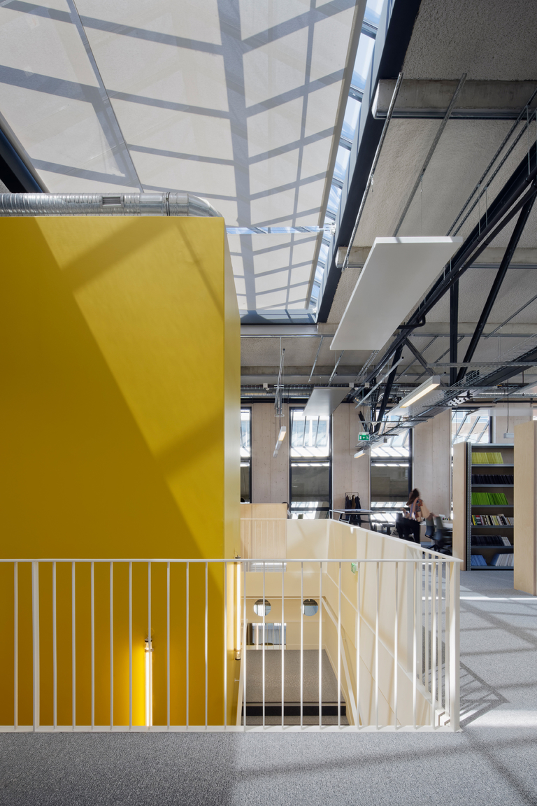 Baaum - RRA_HALLE SAGUEZ_2034.jpg