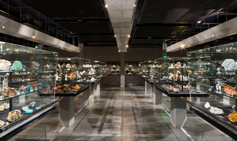 Baaum - JUSSIEU-023.jpg