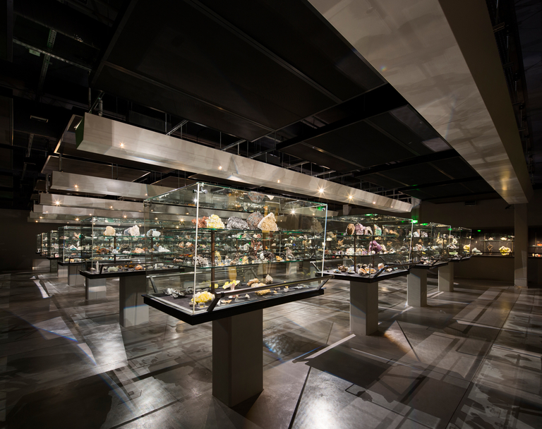 Baaum - JUSSIEU-030.jpg