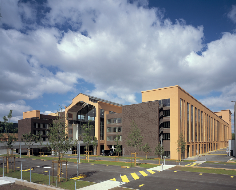 Baaum - 0418ERP-13.jpg