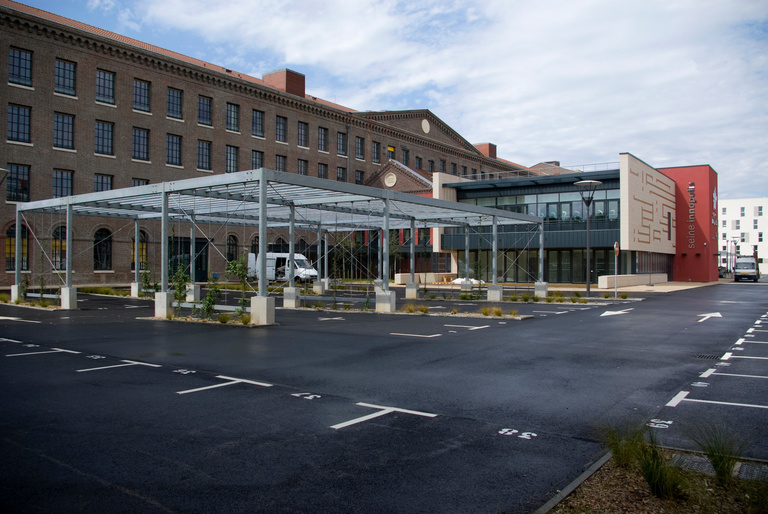 Baaum - IMGP6296∏caroline_sattler.jpg