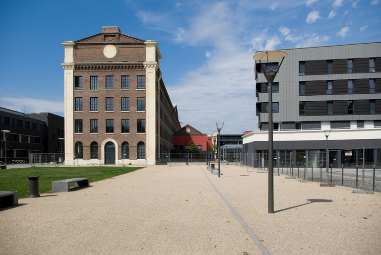 Baaum - IMGP6356∏caroline_sattler.jpg