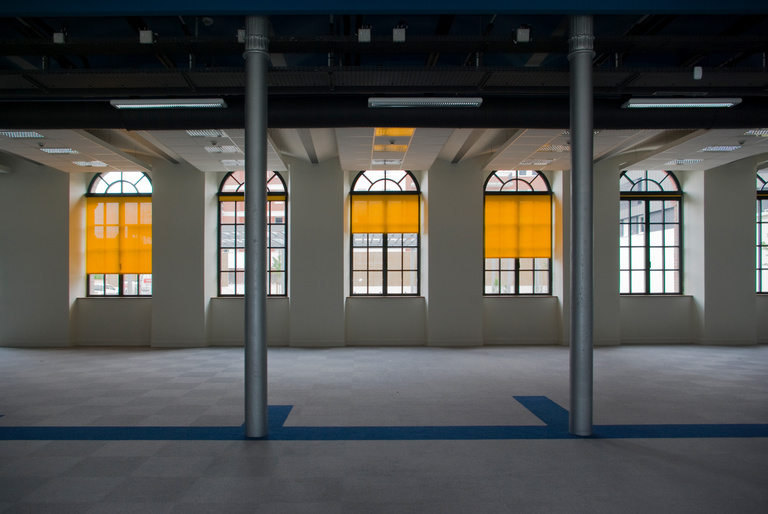 Baaum - IMGP6202∏caroline_sattler.jpg