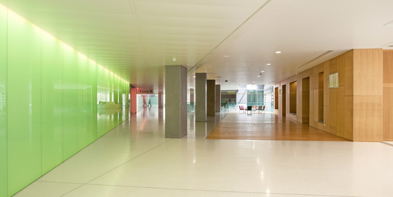 Baaum - Photo S Demailly2792.jpg