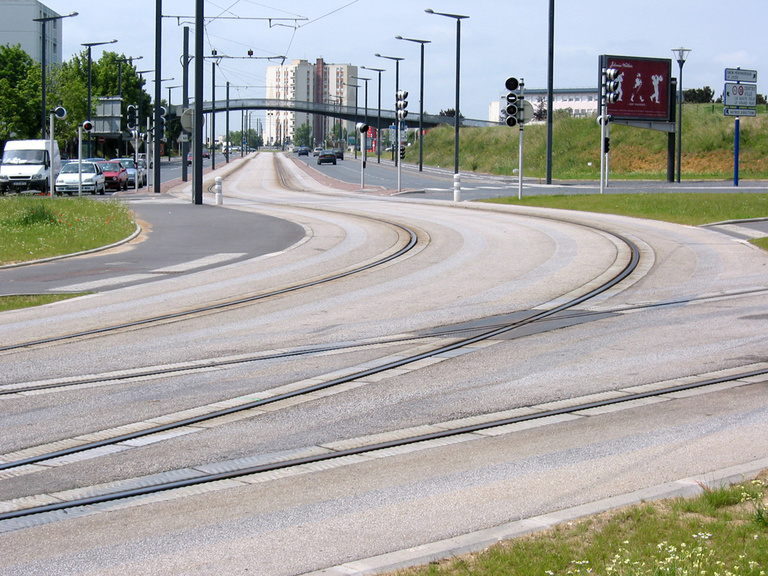 Baaum - IMG_5847.jpg