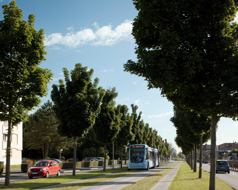 Baaum - 140717105.jpg