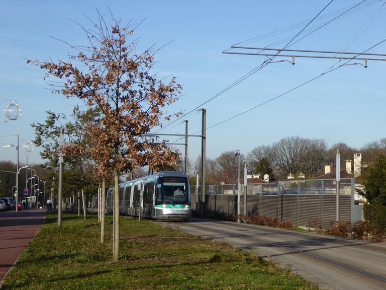 Baaum - T6-wagner-P1020820.jpg