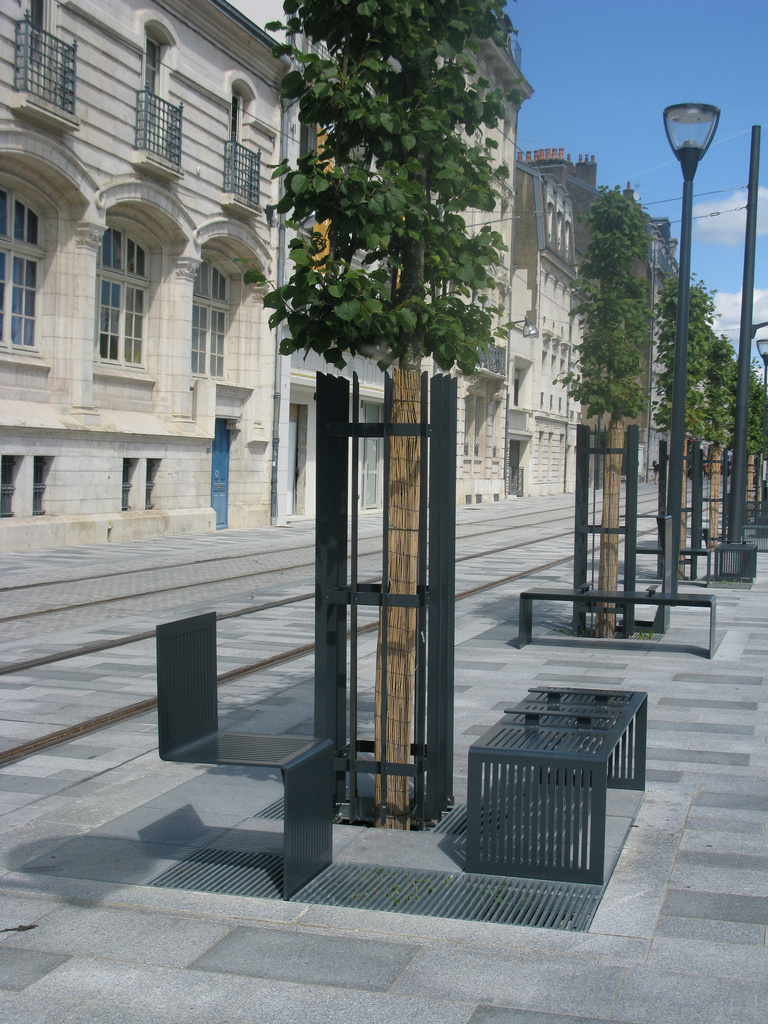 Baaum - IMG_5697.jpg