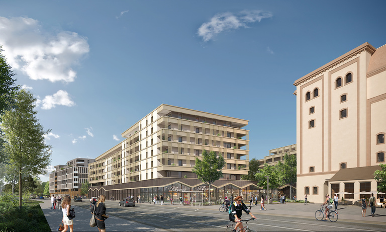 Baaum - 1651SBF_PERS_LOT_B_01.jpg