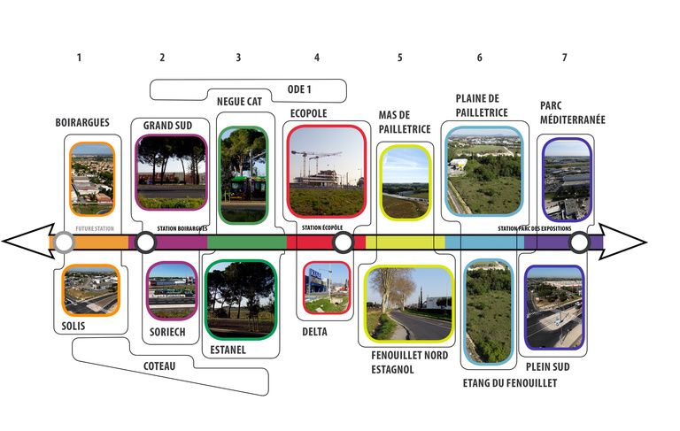 Carta - Reichen et Robert Associés - Reichen et robert asocies-Eco cité de la Route de la mer-Montpellier-_sequence urbaine.jpg