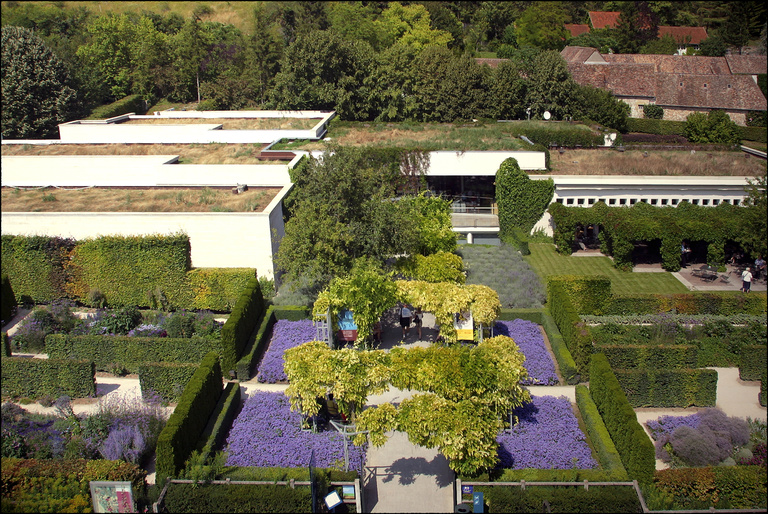 Baaum - IMG_7167.jpg