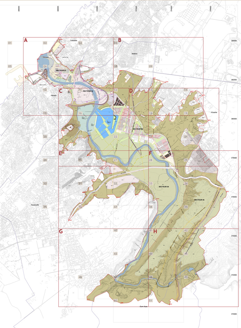 Carta - Reichen et Robert Associés - PLAN D'ENSEMBLE 20 000ä.jpg