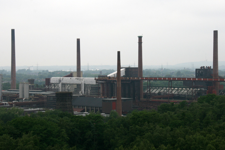 Baaum - IMG_9427.jpg