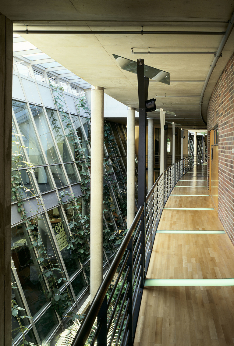 Baaum - RRA_NICOLAS BOREL_OBERHAUSEN_ALLEMAGNE_COURSIVE_005.jpg