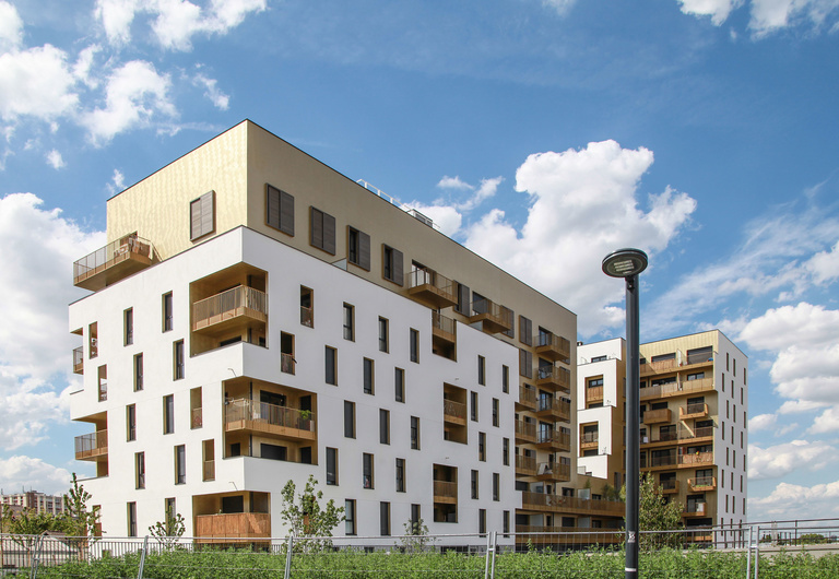 Baaum - RRA-SOLEOS-IMG_8086-.jpg