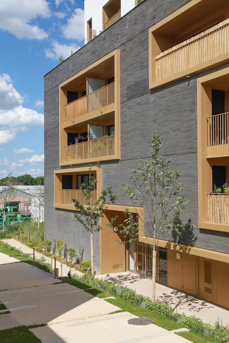 Baaum - RRA-SOLEOS-IMG_8048.jpg