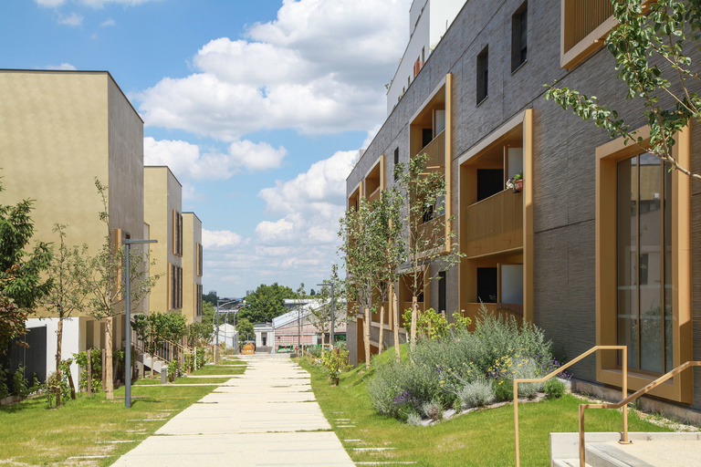 Baaum - RRA-SOLEOS-IMG_7852.jpg