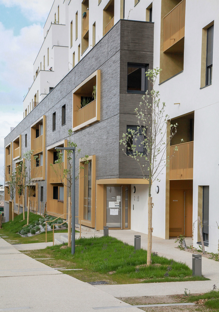 Baaum - -RRA-SOLEOS-IMG_0740.jpg