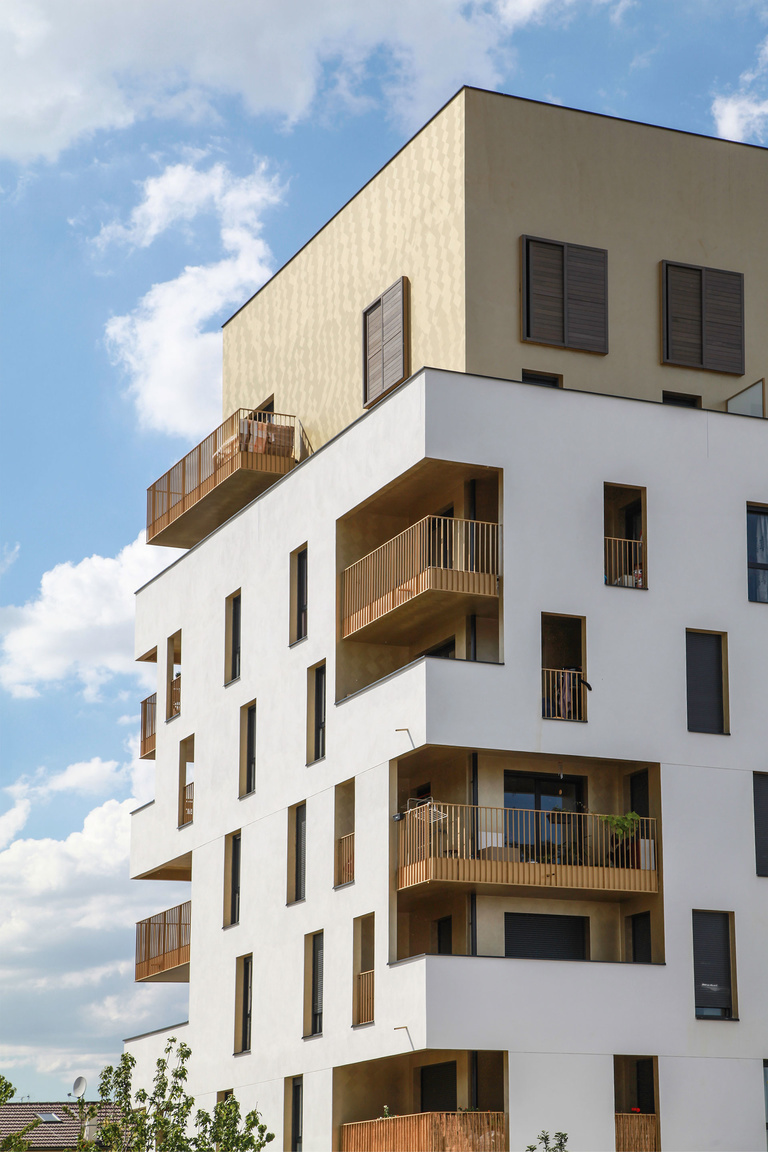 Baaum - -RRA-SOLEOS-IMG_8090.jpg