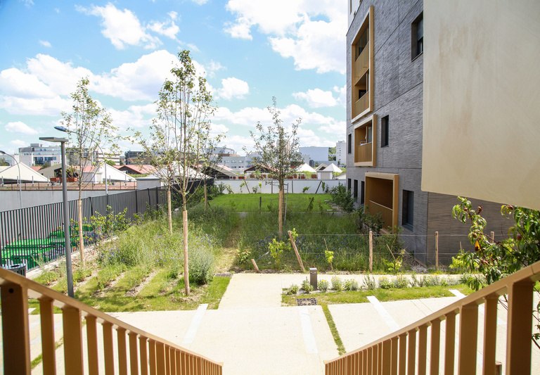 Baaum - RRA-SOLEOS-IMG_7819.jpg