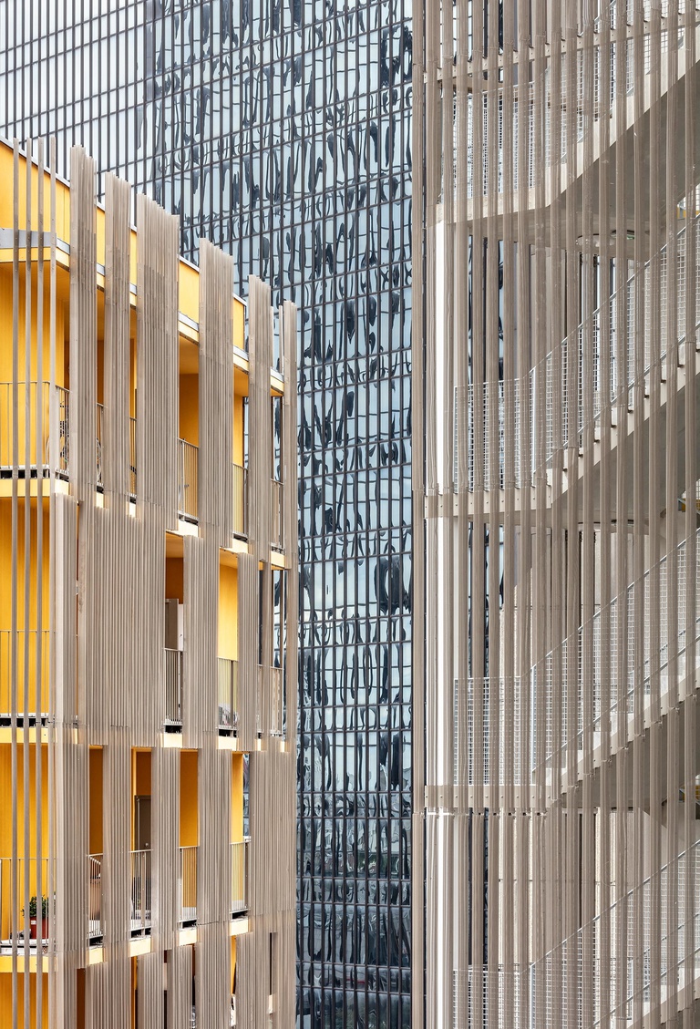 Baaum - RRA_0927MBA_Luc_Boegly-025.jpg