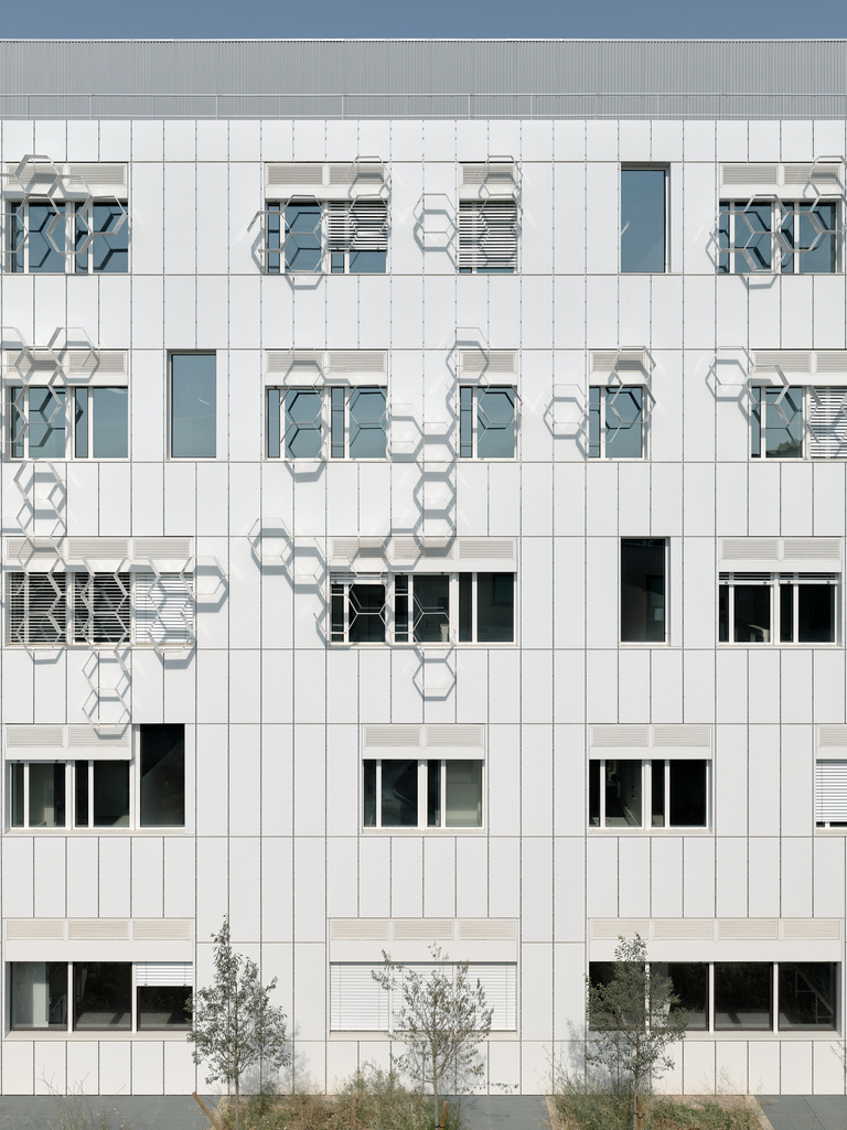 Baaum - CNRS-07-21-2000px-WEB-copyright-philippe-roguet-1636.jpg