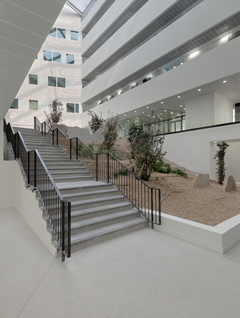 Baaum - CNRS-07-21-2000px-WEB-copyright-philippe-roguet-1430.jpg