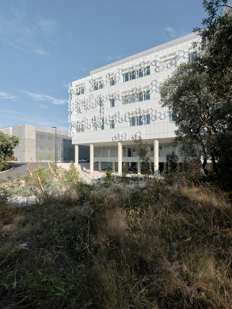 Baaum - CNRS-07-21-2000px-WEB-copyright-philippe-roguet-1912.jpg