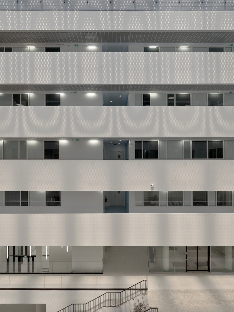 Baaum - CNRS-07-21-2000px-WEB-copyright-philippe-roguet-1295.jpg