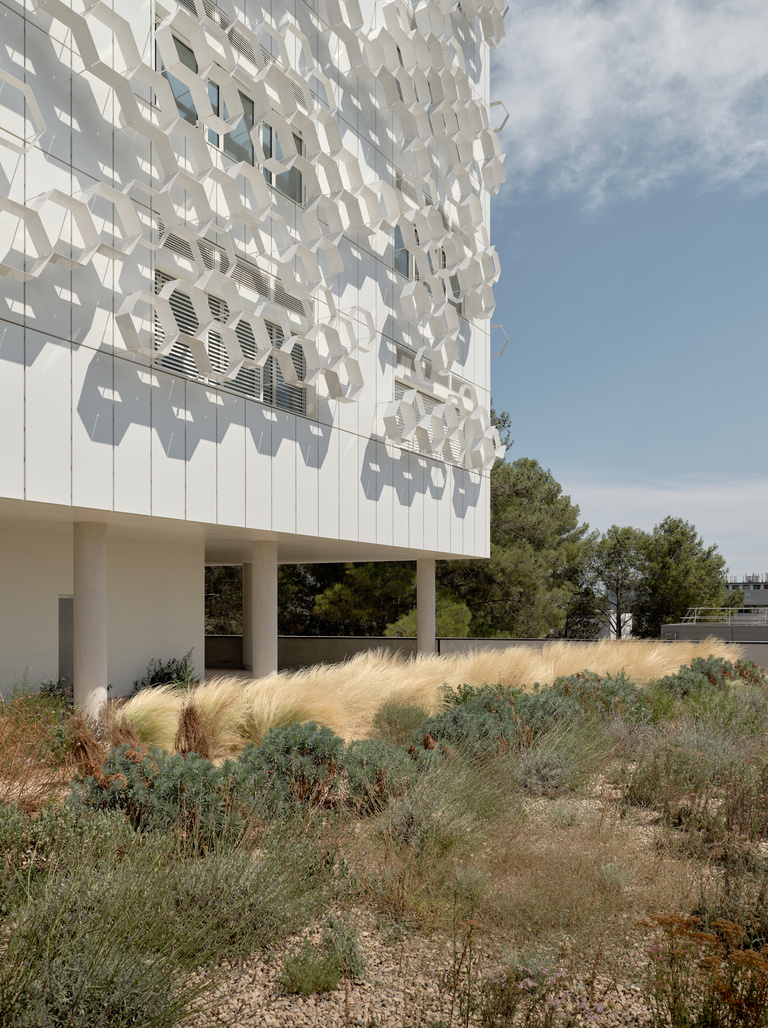 Baaum - CNRS-07-21-2000px-WEB-copyright-philippe-roguet-1362.jpg