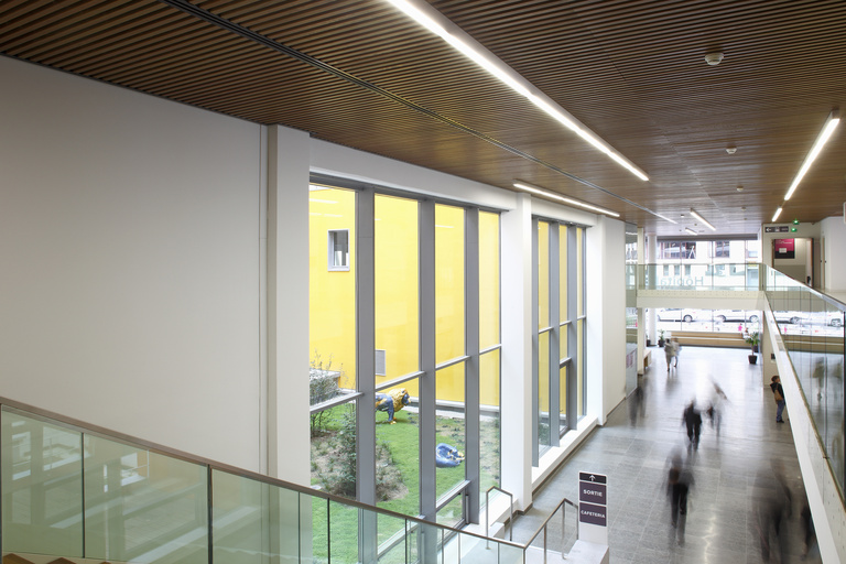 Baaum - Photo S Demailly6300.jpg