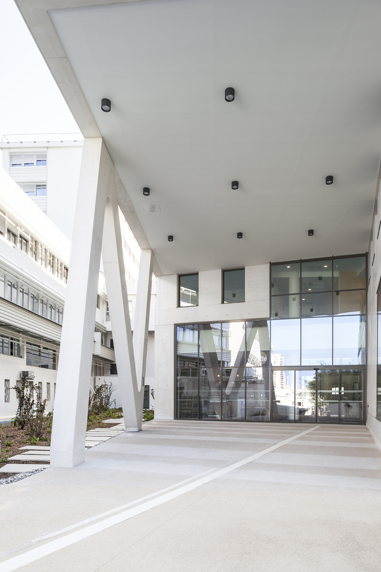 Baaum - ┬® S.Demailly06.jpg