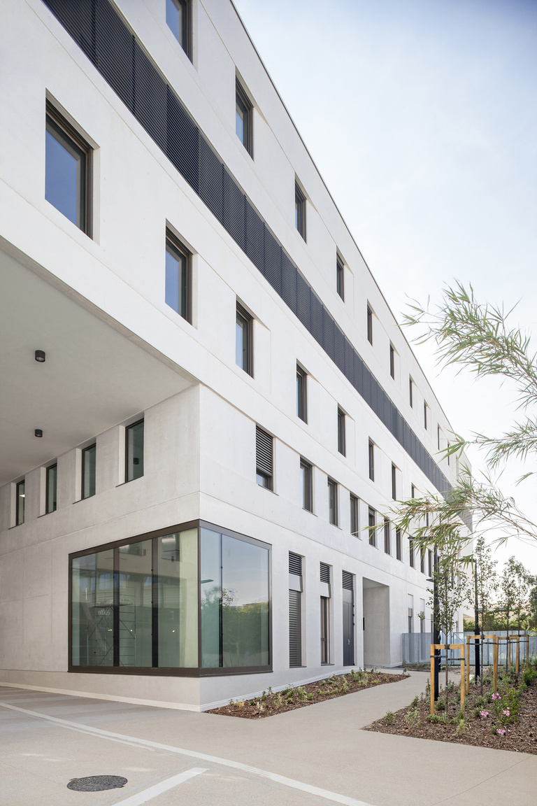 Baaum - © S.Demailly07+.jpg