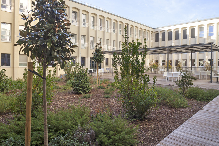 Baaum - © S.Demailly26.jpg