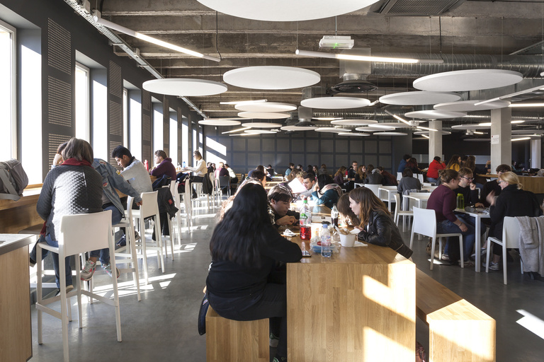 Baaum - © S.Demailly70.jpg