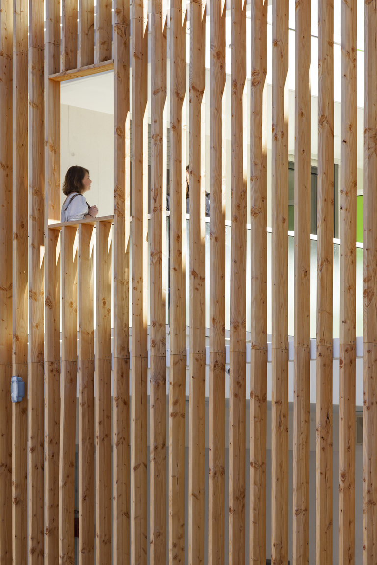 Baaum - Photo S Demailly2352.jpg