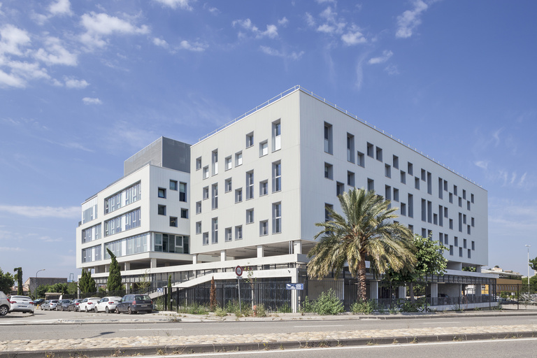 Baaum - © S.Demailly02-.jpg