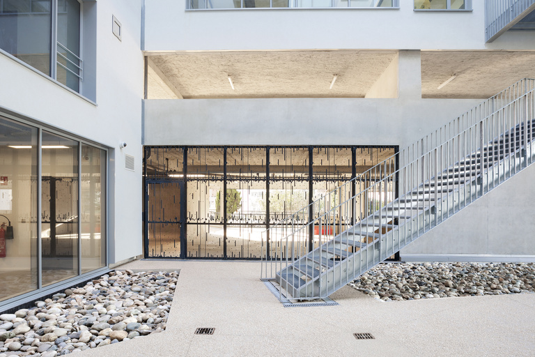 Baaum - © S.Demailly21.jpg