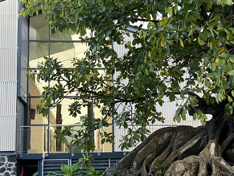 Baaum - IMG_1739.JPG