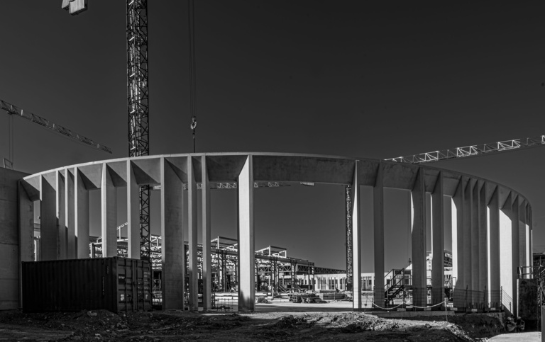 Baaum - DSC_3628-Avec-accentuation-Bruit-2-1.jpg