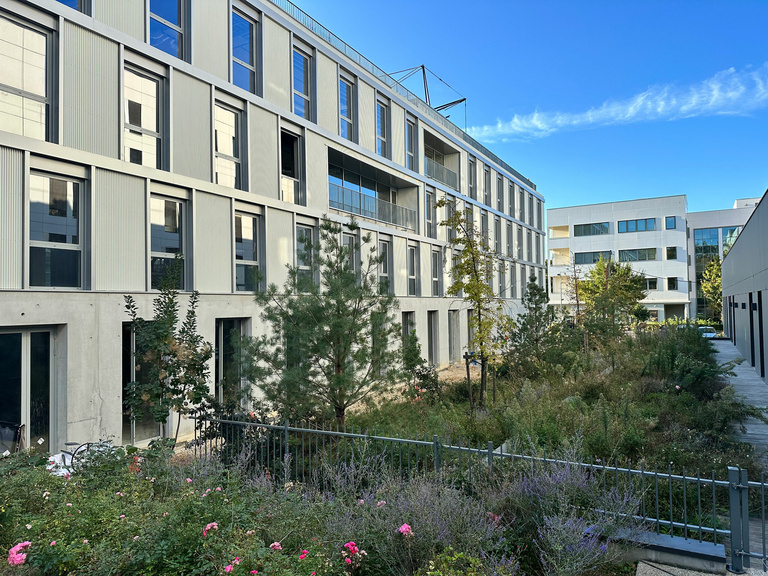 Baaum - IMG_7266.jpg