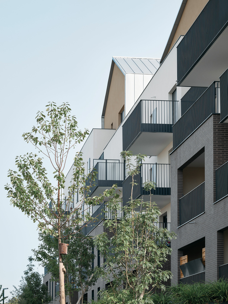 Baaum - E1_Detail_CARRA_Linkcity_Mathurins_Bagneux_Epaillard-Machado_05.jpg