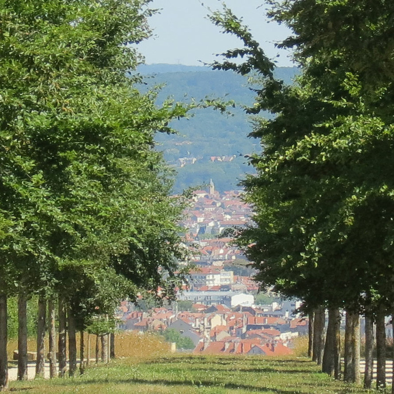 Baaum - IMG_1759-carre.jpg