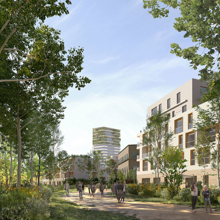 Baaum - image_3419_image_fr.jpg