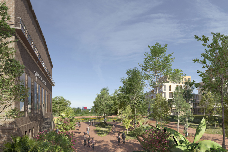 Baaum - image_3420_image_fr.jpg