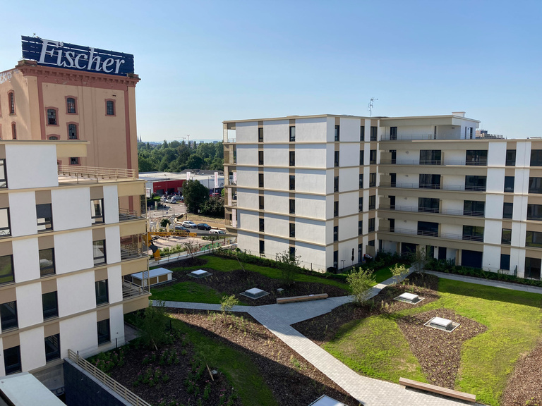 Baaum - IMG_2037_web.jpg