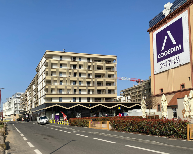 Baaum - IMG_2237-web.jpg