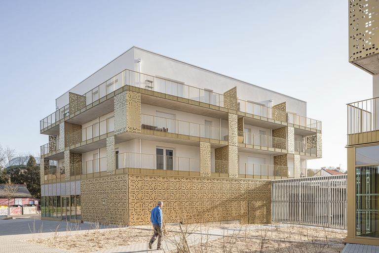 Baaum - CARRA_17081LNI_H0A1336@G-web.jpg